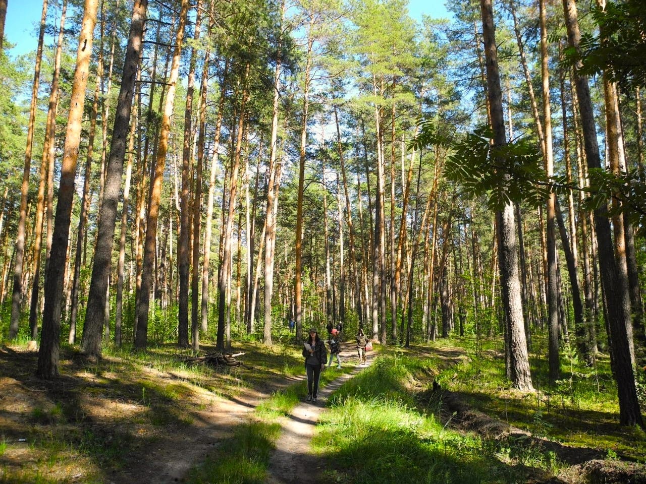 Нолинск. Озеро Чваниха и Медведский бор (1 день) | Туроператор «Мир  открытий»